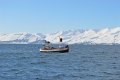 Husavik (34)